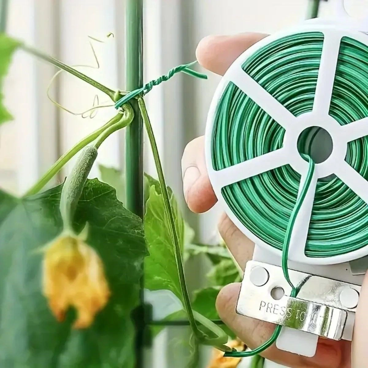 50 Metre Çok Amaçlı  Bitki Saksı Kablo Sabitleme Teli